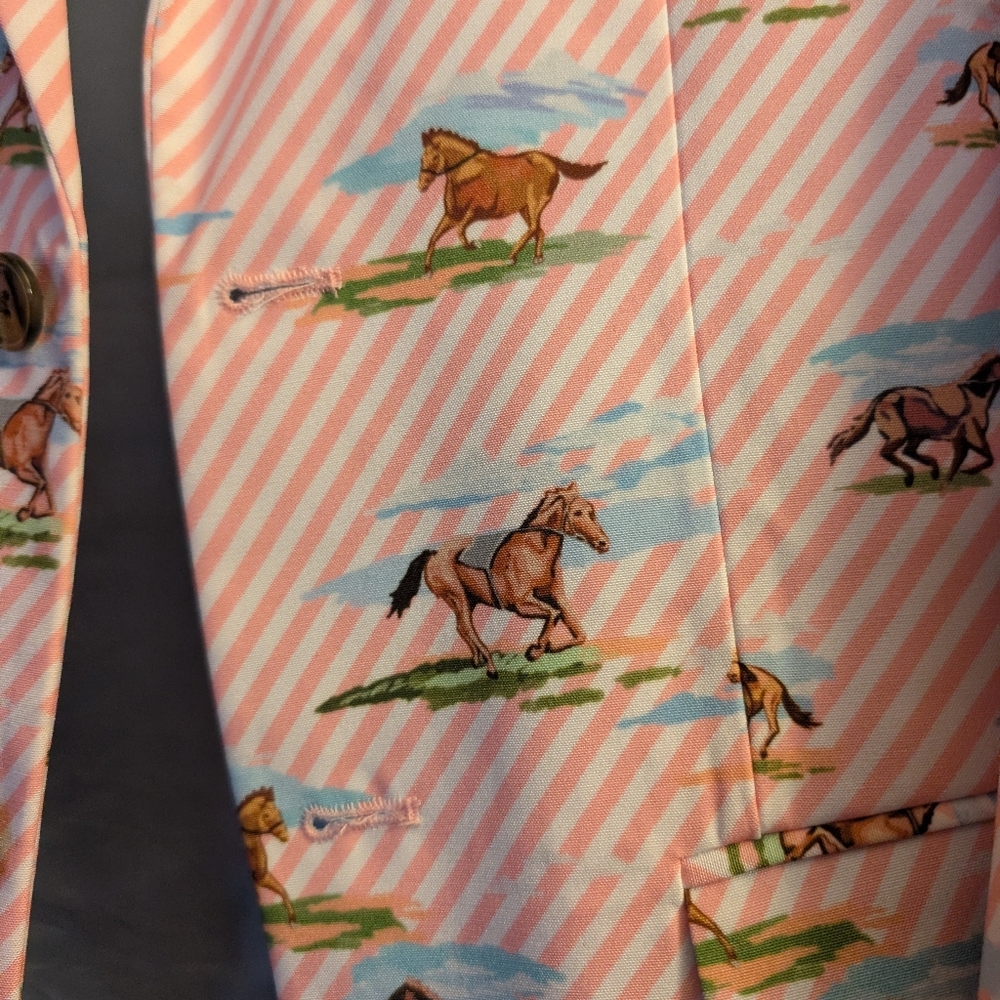 Shinesty The Supreme Steed Derby Horses Blazer - Picture 3 of 13